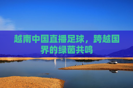 越南中国直播足球,跨越国界的绿茵共鸣