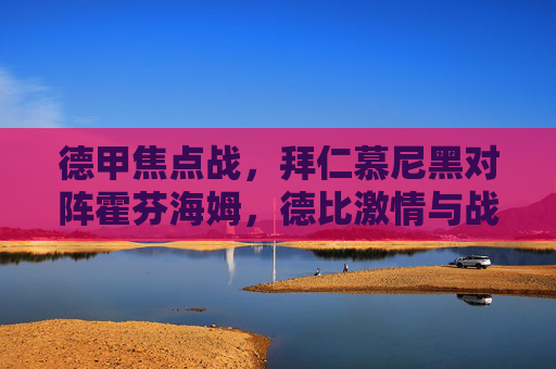 德甲焦点战,拜仁慕尼黑对阵霍芬海姆,德比激情与战术博弈的碰撞