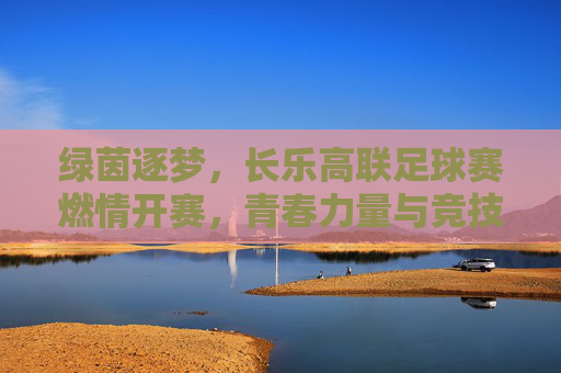 绿茵逐梦，长乐高联足球赛燃情开赛，青春力量与竞技激情的碰撞