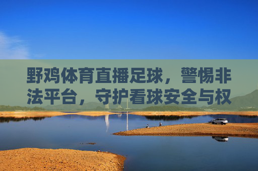 野鸡体育直播足球,警惕非法平台,守护看球安全与权益