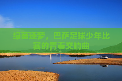 绿茵逐梦,巴萨足球少年比赛的青春交响曲