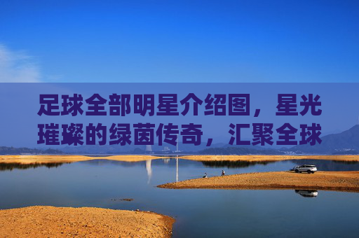 足球全部明星介绍图，星光璀璨的绿茵传奇，汇聚全球足球史上的顶级球员