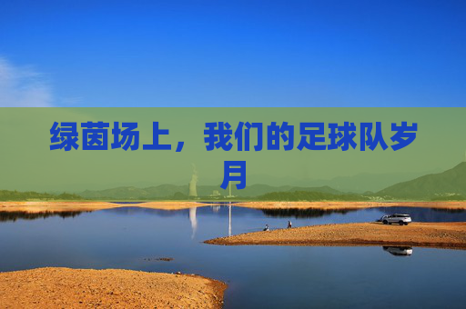 绿茵场上，我们的足球队岁月