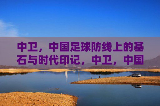 中卫，中国足球防线上的基石与时代印记，中卫，中国足球防线上的基石与时代印记
