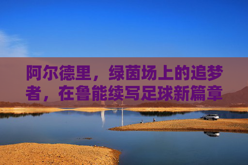 阿尔德里，绿茵场上的追梦者，在鲁能续写足球新篇章