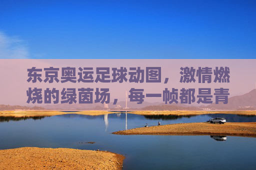 东京奥运足球动图,激情燃烧的绿茵场,每一帧都是青春与梦想的碰撞