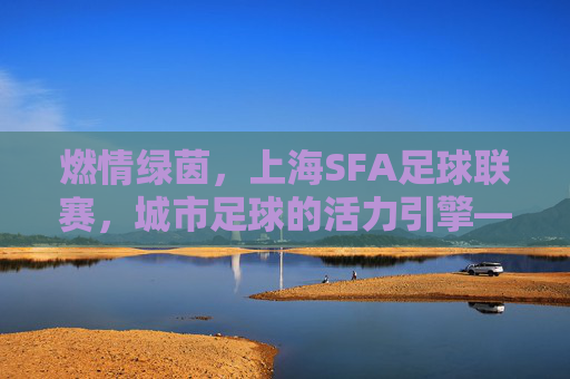 燃情绿茵,上海SFA足球联赛,城市足球的活力引擎——解码上海SFA足球联赛的青春魅力与城市文化印记