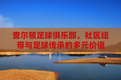 查尔顿足球俱乐部,社区纽带与足球传承的多元价值