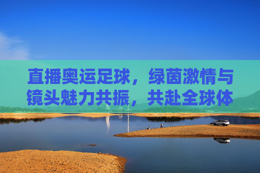 直播奥运足球，绿茵激情与镜头魅力共振，共赴全球体育盛宴，直播奥运足球，绿茵激情与镜头魅力共振，共赴全球体育盛宴