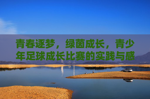 青春逐梦，绿茵成长，青少年足球成长比赛的实践与感悟，青春逐梦，绿茵成长，青少年足球成长比赛的实践与感悟