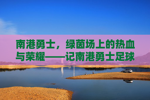 南港勇士，绿茵场上的热血与荣耀——记南港勇士足球队的不懈奋斗