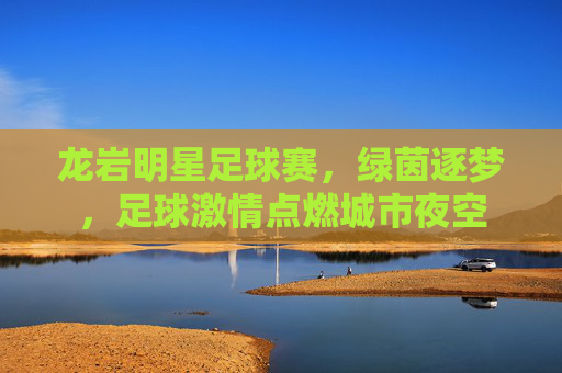 龙岩明星足球赛,绿茵逐梦,足球激情点燃城市夜空