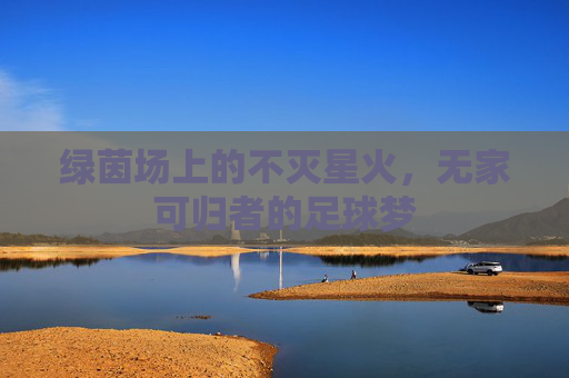 绿茵场上的不灭星火，无家可归者的足球梦
