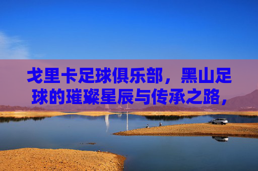 戈里卡足球俱乐部,黑山足球的璀璨星辰与传承之路,戈里卡足球俱乐部,黑山足球的璀璨星辰与传承之路