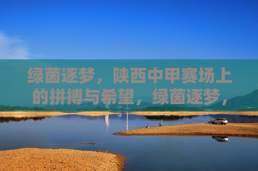 绿茵逐梦,陕西中甲赛场上的拼搏与希望,绿茵逐梦,陕西中甲赛场上的拼搏与希望