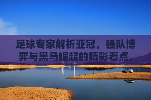 足球专家解析亚冠，强队博弈与黑马崛起的精彩看点，足球专家解析亚冠，强队博弈与黑马崛起的精彩看点