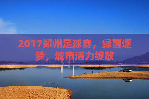 2017郑州足球赛，绿茵逐梦，城市活力绽放