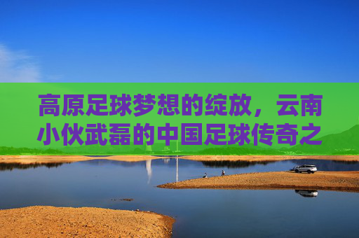 高原足球梦想的绽放，云南小伙武磊的中国足球传奇之路