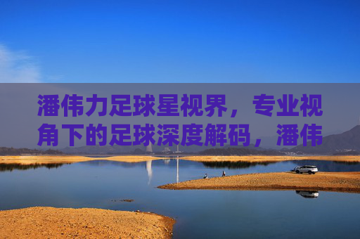 潘伟力足球星视界，专业视角下的足球深度解码，潘伟力足球星视界，专业视角下的足球深度解码