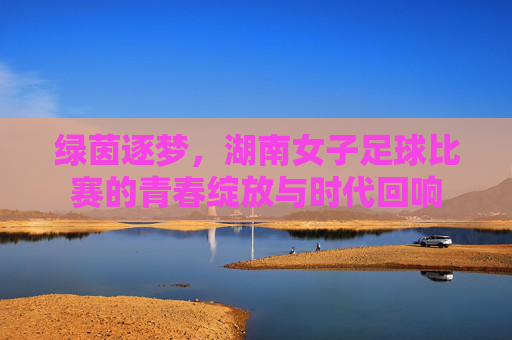 绿茵逐梦,湖南女子足球比赛的青春绽放与时代回响