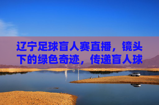 辽宁足球盲人赛直播,镜头下的绿色奇迹,传递盲人球员的足球热忱与拼搏精神,辽宁足球盲人赛直播,镜头下的绿色奇迹,传递盲人球员的足球热忱与拼搏精神