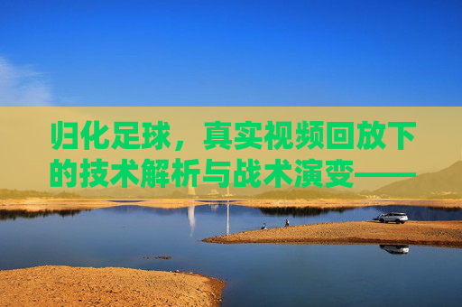 归化足球,真实视频回放下的技术解析与战术演变——解析归化球员的技战术特点及视频回放的应用价值