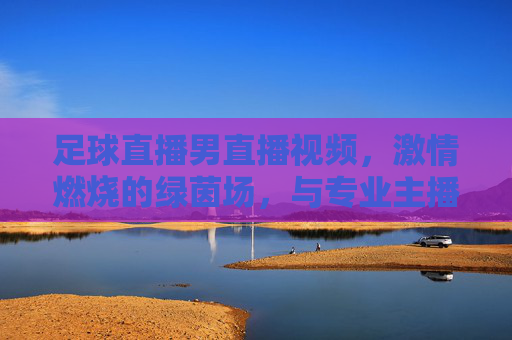 足球直播男直播视频，激情燃烧的绿茵场，与专业主播共赴观赛之约