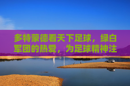 多特蒙德看天下足球，绿白军团的热爱，为足球精神注入灵魂，多特蒙德，绿白军团的热爱，为足球精神注入灵魂