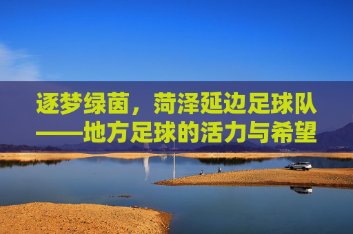 逐梦绿茵，菏泽延边足球队——地方足球的活力与希望，逐梦绿茵，菏泽延边足球队——地方足球的活力与希望