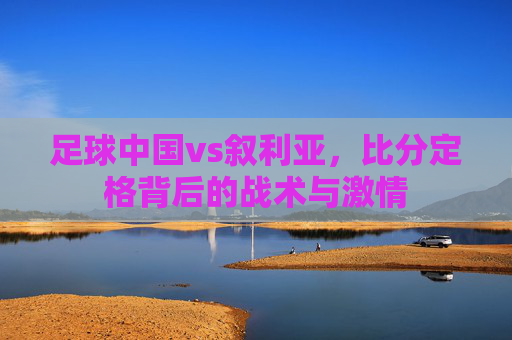 足球中国vs叙利亚,比分定格背后的战术与激情