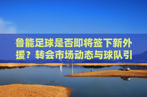 鲁能足球是否即将签下新外援?转会市场动态与球队引援策略分析,鲁能足球新外援引援,转会市场动态与球队策略分析