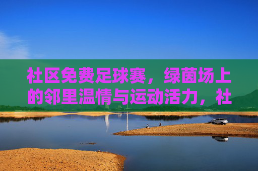 社区免费足球赛,绿茵场上的邻里温情与运动活力,社区免费足球赛,绿茵场上的邻里温情与运动活力