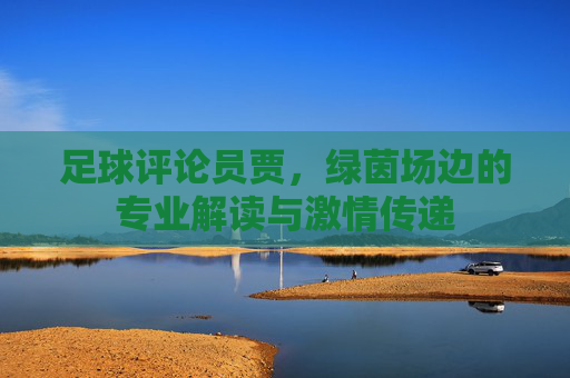 足球评论员贾，绿茵场边的专业解读与激情传递