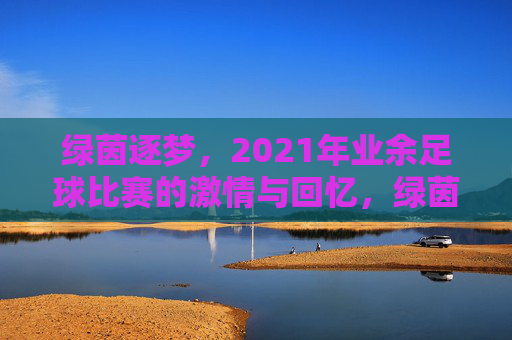 绿茵逐梦,2021年业余足球比赛的激情与回忆,绿茵逐梦,2021年业余足球比赛的激情与回忆