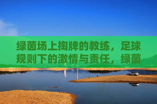 绿茵场上掏牌的教练，足球规则下的激情与责任，绿茵场上掏牌的教练，足球规则下的激情与责任