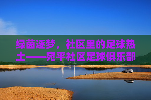 绿茵逐梦，社区里的足球热土——宛平社区足球俱乐部的成长故事，绿茵逐梦，社区里的足球热土——宛平社区足球俱乐部的成长故事