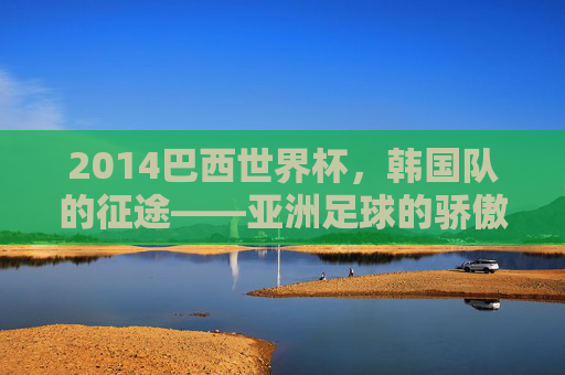 2014巴西世界杯，韩国队的征途——亚洲足球的骄傲与挑战，2014巴西世界杯，韩国队的征途——亚洲足球的骄傲与挑战