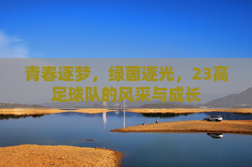 青春逐梦，绿茵逐光，23高足球队的风采与成长