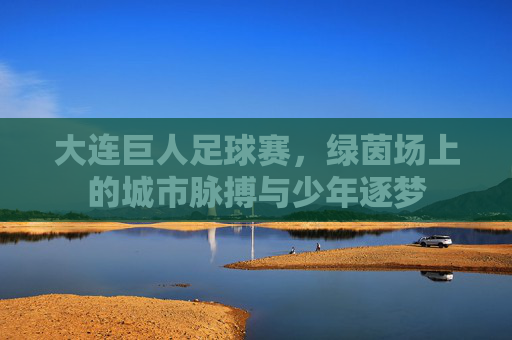 大连巨人足球赛，绿茵场上的城市脉搏与少年逐梦