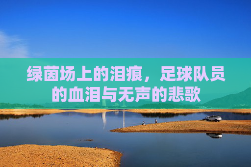 绿茵场上的泪痕,足球队员的血泪与无声的悲歌