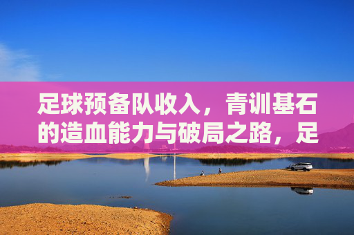 足球预备队收入,青训基石的造血能力与破局之路,足球预备队收入,青训基石的造血能力与破局之路
