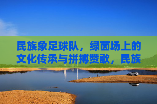 民族象足球队,绿茵场上的文化传承与拼搏赞歌,民族象足球队,绿茵场上的文化传承与拼搏赞歌