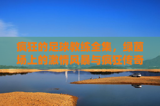 疯狂的足球教练全集,绿茵场上的激情风暴与疯狂传奇