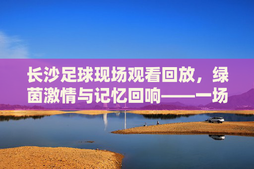 长沙足球现场观看回放,绿茵激情与记忆回响——一场关于热爱与传承的足球盛宴