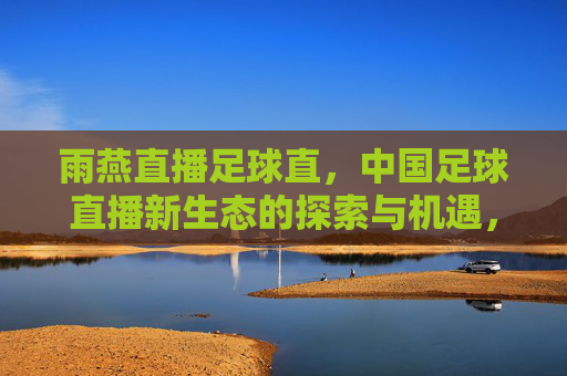 雨燕直播足球直,中国足球直播新生态的探索与机遇,雨燕直播足球直,中国足球直播新生态的探索与机遇