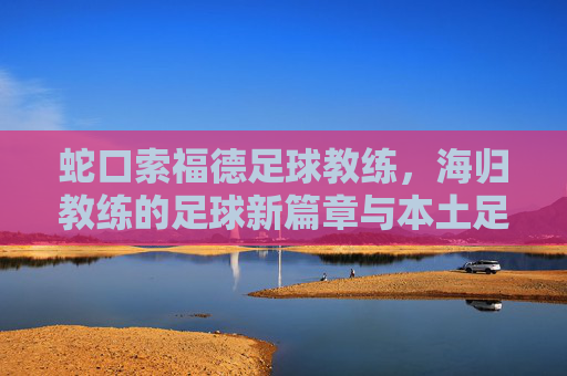 蛇口索福德足球教练,海归教练的足球新篇章与本土足球的深度融合