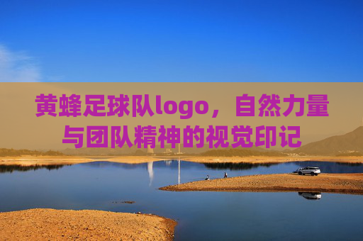 黄蜂足球队logo,自然力量与团队精神的视觉印记