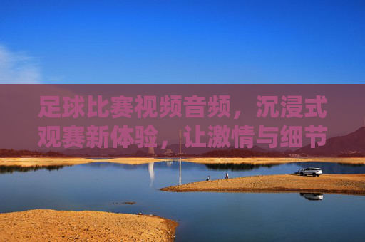 足球比赛视频音频，沉浸式观赛新体验，让激情与细节零距离，足球比赛视频音频，沉浸式观赛新体验，零距离感受激情与细节
