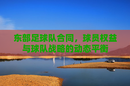 东部足球队合同，球员权益与球队战略的动态平衡