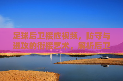 足球后卫接应视频,防守与进攻的衔接艺术,解析后卫在攻防转换中的关键作用